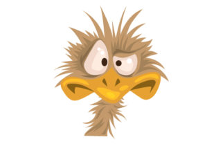 Funny Emu Face for Crafts and Australia
