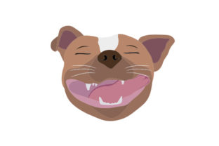 Pitbull with Funny Smile